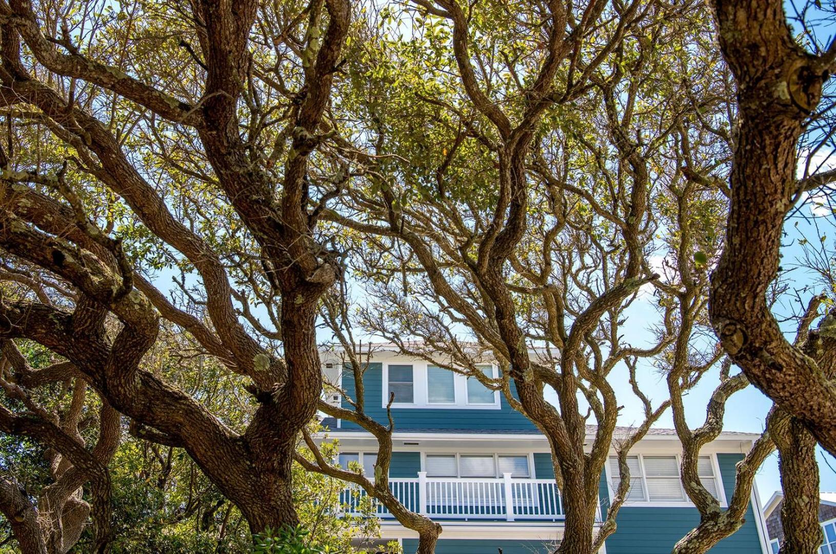 Duneside Home Pine Knoll Shores Εξωτερικό φωτογραφία